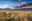 Andes-train