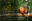 Early_Monkey_2027-2028
