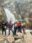 IMG-20260410-WA0030