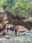 IMG-20260410-WA0038