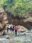IMG-20260410-WA0038