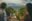 LOS-ALTOS-RESORT-Where-the-Rainforest-Meets-the-Whale-Route