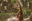 Ollantaytambo-only-women_Condor-Travel