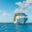 SAT_Cruise-Handling