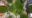 WhatsApp-Image-2026-06-22-at-3.41.27-PM