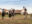 estancia-colibri-9