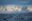 guanacos-winter-