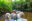 iStock-1464502131-1