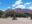 optimized-image-4-1