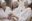optimized-image-5